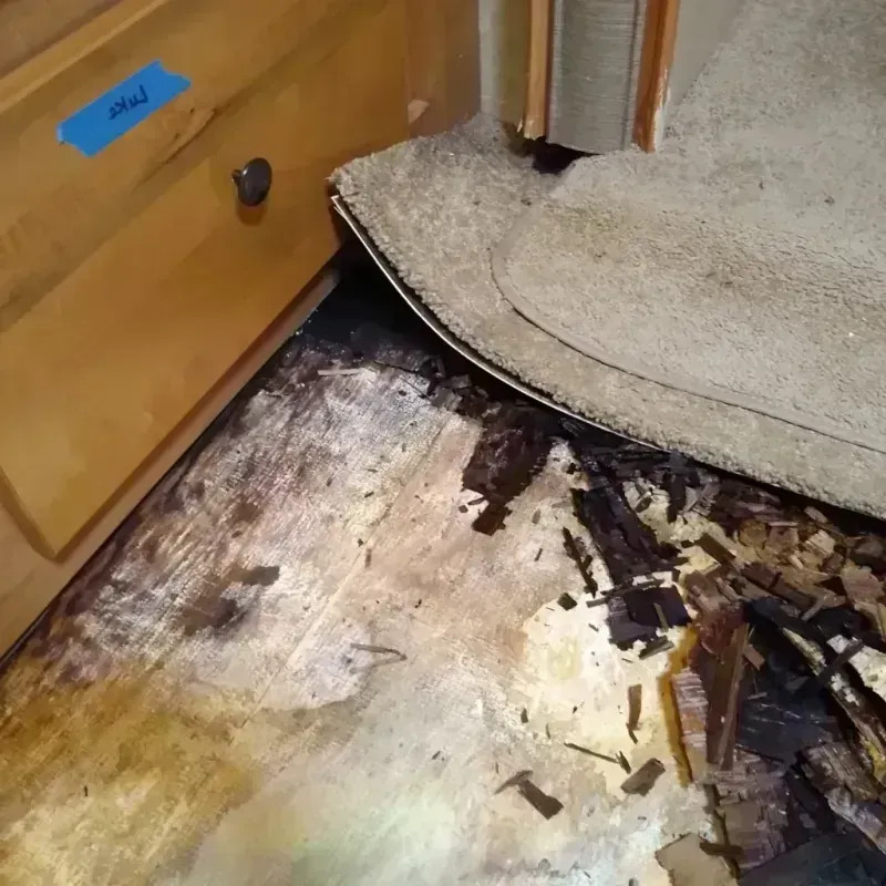 Wood Floor Water Damage in Madison County, IA